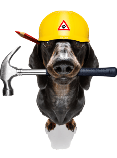 Hund mit Hammer